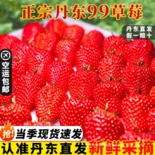 �F؛���|��ݮ���rˮ��99��ݮ�t����;ž���ţ�̲�ݮ�Y�д�����\