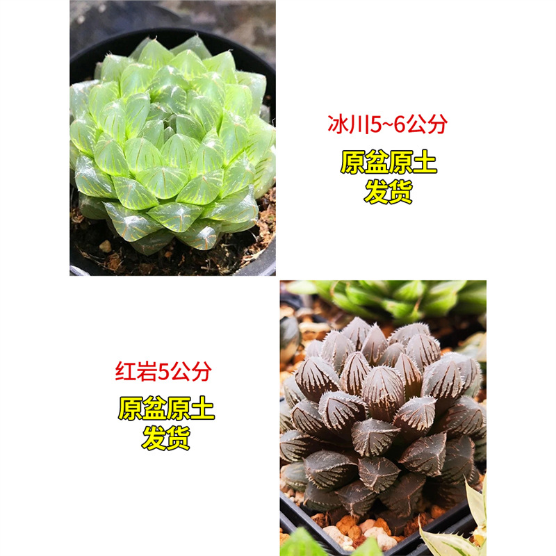 빙하 + 붉은 바위 (무료 컬러 스톤)