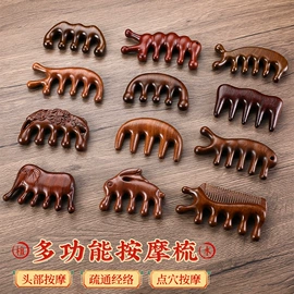 美发梳;经络保健器材;发簪