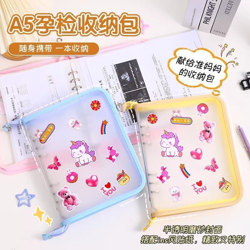 Zippered Pregnancy Test Storage Book, Multifunctional Transparent Maternity Check-Up Storage Book, Portable Storage for Pregnancy Ultrasound Reports