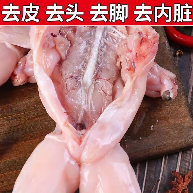 Bullfrog Clear Fresh fresh Large Frog Frog meat Partially Prepared Products Frog meat Freezing Office wholesale