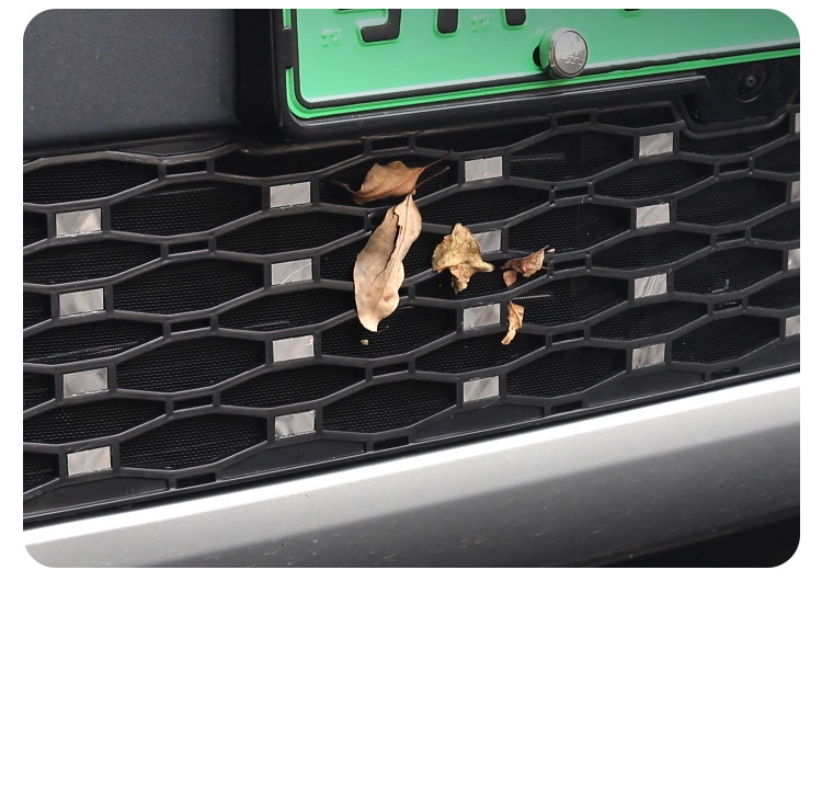 Suitable for Denza N8L Insect-Proof Net Front Grille Water Tank Snap-On Protective Cover Insect-Proof Catkin Modification Accessories
