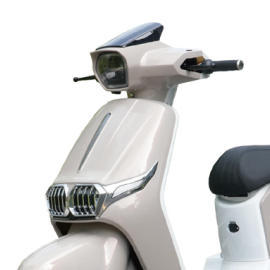 Cross-Border Export of Electric Motorcycles, High-Power Electric Scooters, High-Speed Long-Distance Electric Bikes, and Electric Scooters