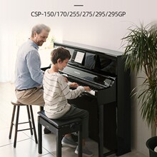 ����.�������CSP150/170/255/275/295����רҵ��ʽ���ǵ��Ӹ���