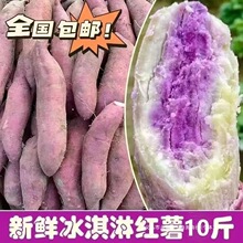 沙地冰淇淋红薯一点红番薯新鲜现挖板栗花心地瓜蜜薯其他全年包邮