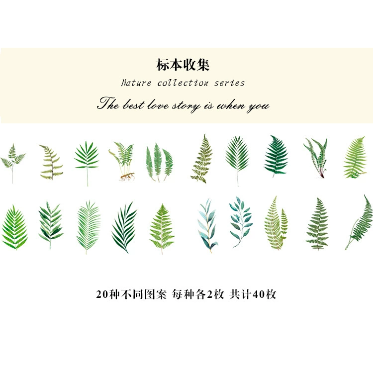 Natural photo collection window series PET handbook post paper bag creative plant DIY decorative post 12 models