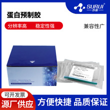 都友生物 western blot 蛋白预制胶 SDS-PAGE 电泳蛋白胶Tris-Gly