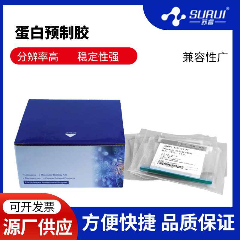 都友生物 western blot 蛋白预制胶 SDS-PAGE 电泳蛋白胶Tris-Gly