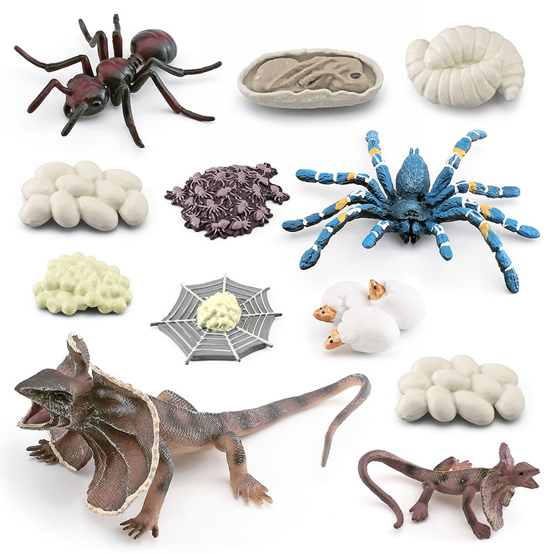 Simulación transfronteriza insecto modelo de ciclo de crecimiento animal captura de aves Araña Hormiga paraguas lagarto proceso de crecimiento decoración juguete