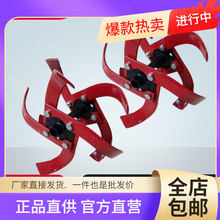 ���l΢���C���ص��������2�M4Ƭ�̵��r�C��������������C������