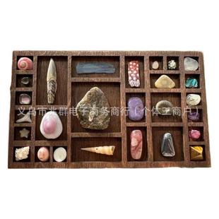 Cross-Border Miniature Trinket Shelf Wooden Miniature Jewelry Rack Mineral Specimen Storage Display