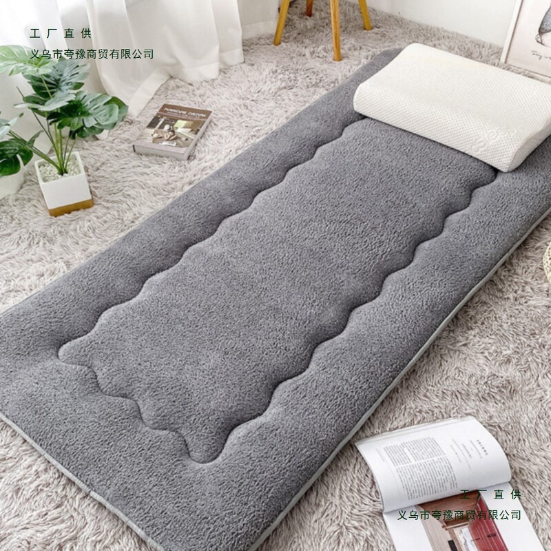 Thickened Warm Lamb Velvet Mattress Winter Single and Double Children's Bed Dormitory Bunk Bed Tatami Foldable and Floor-Covering