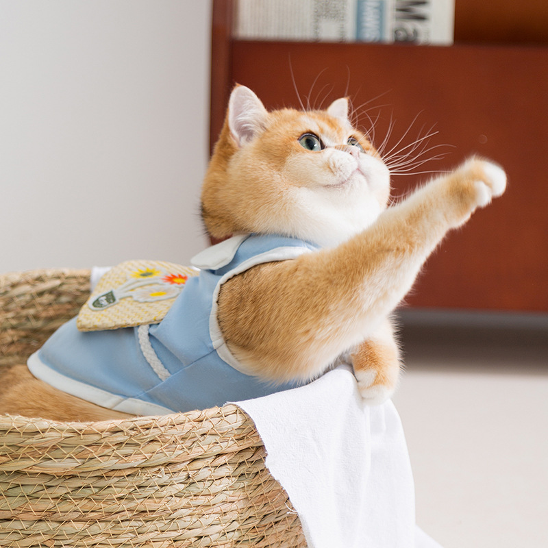 Gato primavera y verano chaleco de flores de sol gatito collar pétalos de flores ropa de dos patas para mascotas de verano transpirable