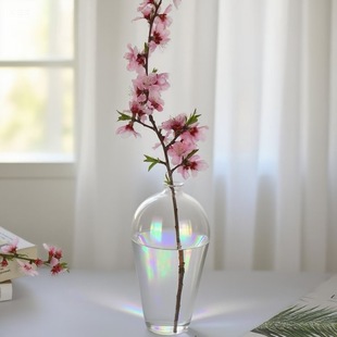 �͹�͸������ˮ�໨ƿ��֦С�ڲ廨���U��ŵ��ƿ�[��÷ƿ��@�L