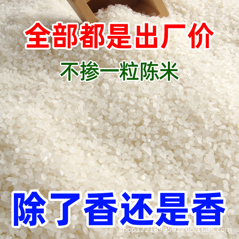 黒竜江省真珠米 5kg 東北粘り米 香り米 真空包装 農家新米 1年1回|undefined