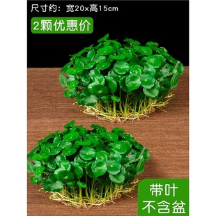 �~�X��ˮ�������҃����⻨����ؔ���X�ݾGֲ����ȩ�Gֲ�ļ����B��