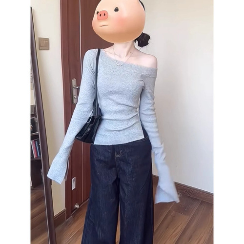 Women's Gray Cross-Shoulder Long-Sleeve Top for 2025 Autumn - Design Slimming and Body-Concealing Pure Desire Seductive Basic Tee