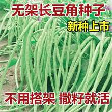 GlLժ߮aNӴͥԺ@׷N߲ļN