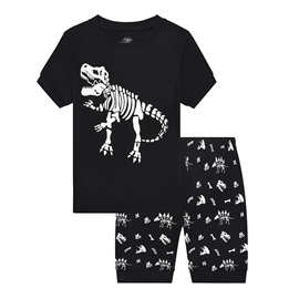 夜光外贸跨境童装家居服货源亚马逊速卖通经典恐龙短袖短裤套装
