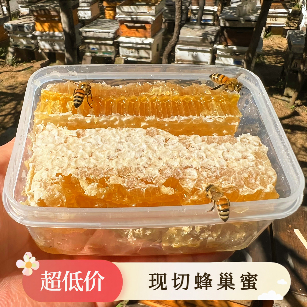 整张切割蜂巢蜜农家自产嚼着吃土蜂蜜巢块蜂巢蜜槽蜂窝盒装巢蜜