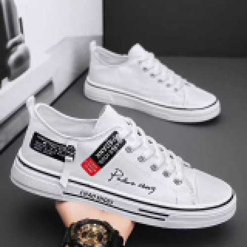 2025 Summer Canvas Shoes for Men, Classic Cloth Shoes, Youth Leisure Daily Canvas Shoes, Classic Trendy Shoes
