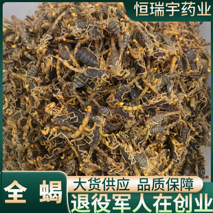 ��ș��ȫϐ����ˮȫϐș�ü�ȫ�x�a��ֱ��֧�֙z�y����ă����l