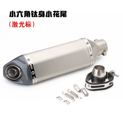 600 Horizon Universal Exhaust Pipe: Exhaust pipe - small-hexagonal-titanium-body-small-flower-tail-laser-cursor