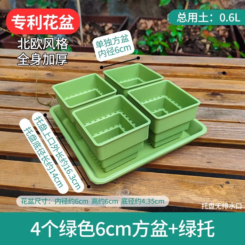 樹脂多肉植木鉢大口径小白角コンビネーション台座付きトレープラスチック通気植物専用根付き鉢|undefined