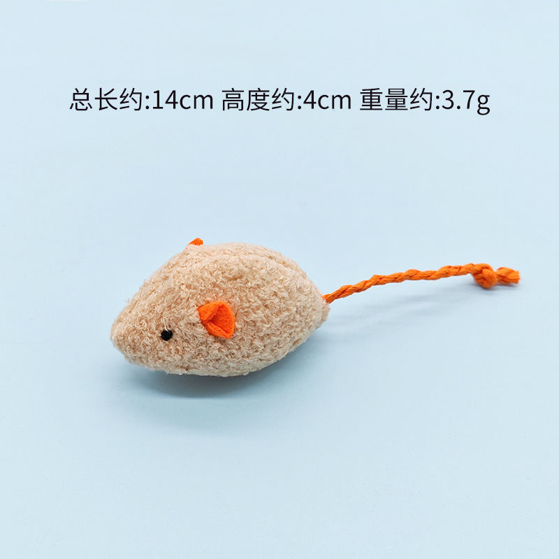 주황색 쥐