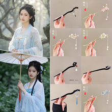 �P�l���L���Ӱl��L�h���߼���ľ���l�OŮ����2026�¿���|�l��