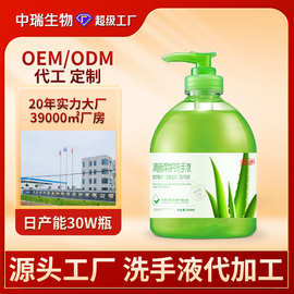 工厂定制洗手液泡沫芦荟香氛洗手液温和植物洗手液oem代加工贴牌
