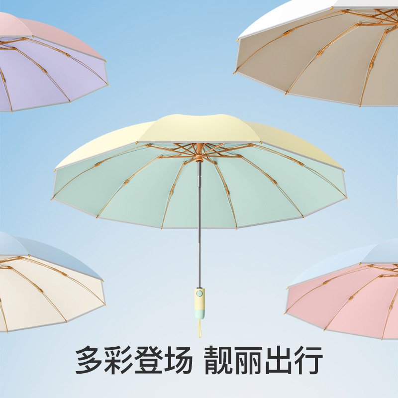 Fresh automatic umbrella