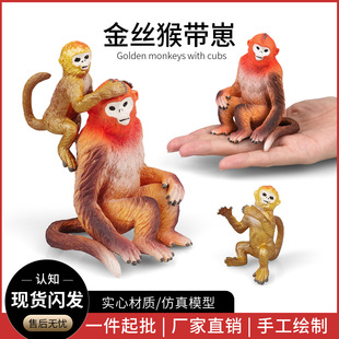 �羳��ͯ�ƽ��J֪����ģ�͌����o�B��z������L��Գ��{�����羳