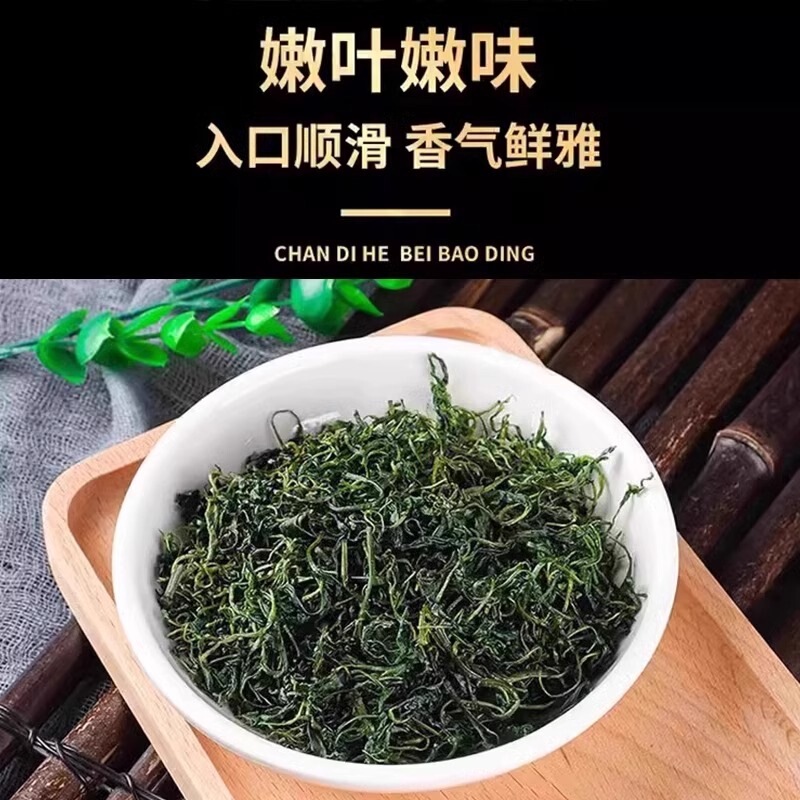 2025年新茶小葉苦丁茶公式旗艦店青山绿水本物のタンポポ苦丁新芽|undefined