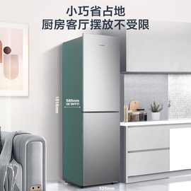 容.声186升两门双门租房家用冰箱小型节能冷藏保鲜BCD-186GA1DE银