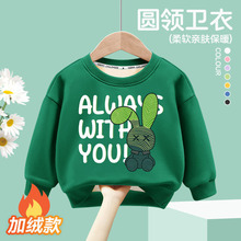 2024�����¿���ͯһ�w�q�l�´�����n���д�ͯ�ٴ�������¶��b��