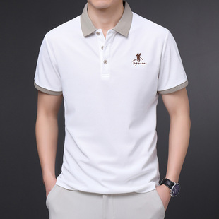 ��ʿ����POLO��ɫ�ļ����e�̄մ̽�2025���I���bT���п����t��