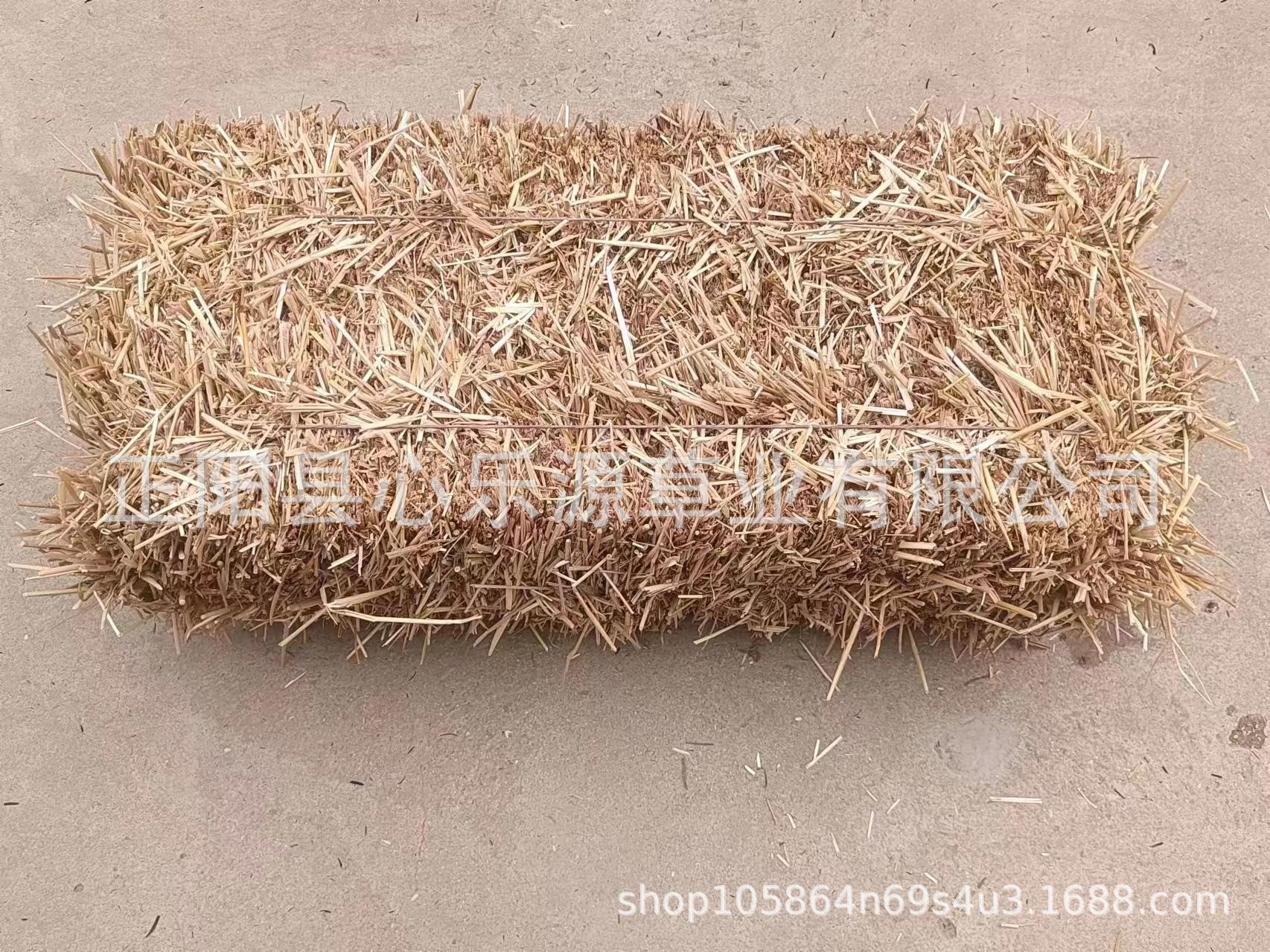 微信图片_20240530235033