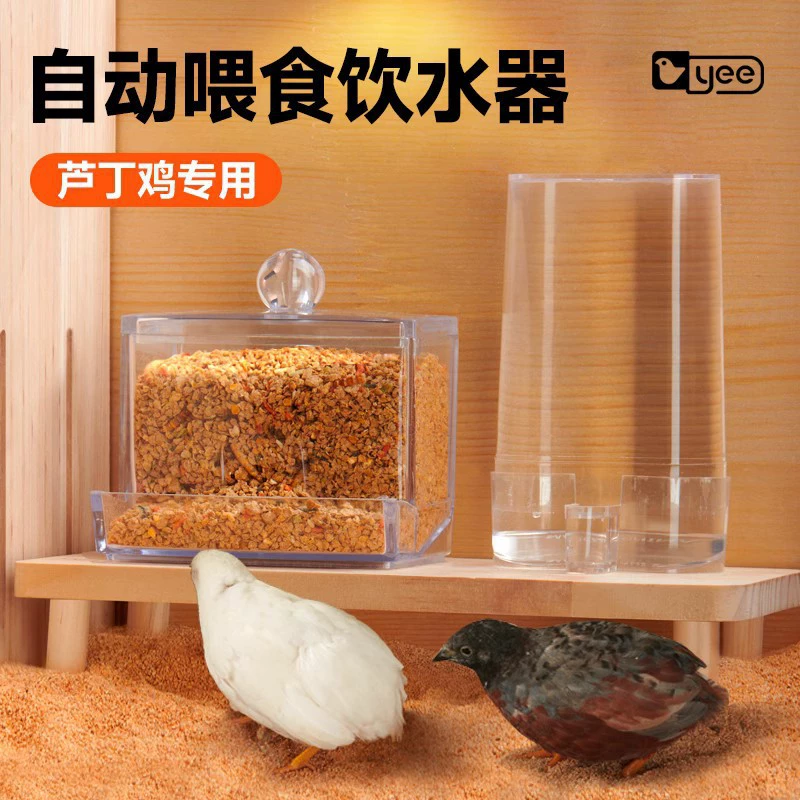 Рутин автоматическая поилка цыпленка рутина для кормления цыпленка рутина чайник поставляет Кормушка Для цыпленка рутин