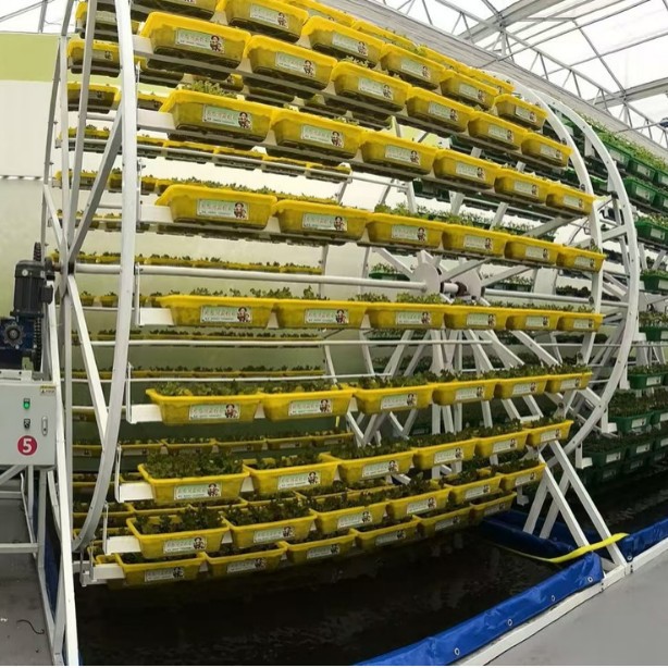 無土壌栽培野菜回転植栽ラック温室水耕栽培タワーは時間に合わせて回転して多層植栽が可能