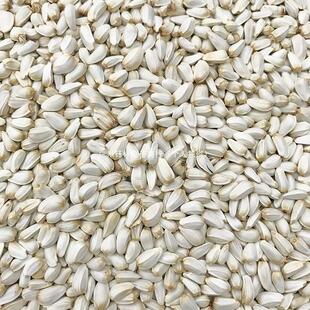 �t����/�t����/�׹��� �����W�^�Bʳ�B�Z �}��Zʳ���Z 5����]