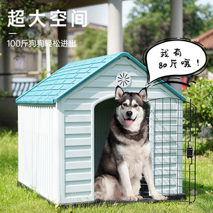 ���������⹷�ṷ���д���Ȯ���C�ļ������������؈�C���\�ӑ���