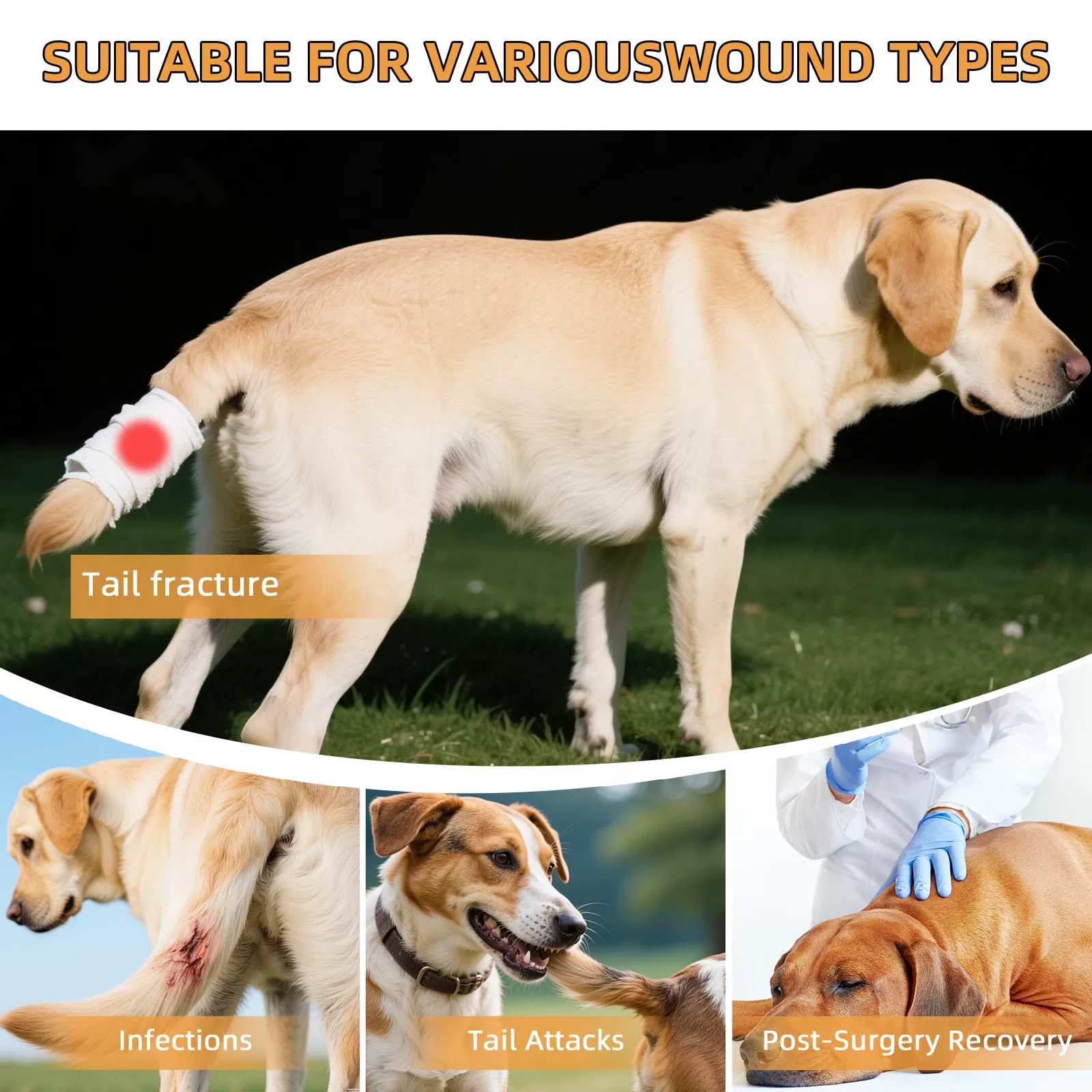Cross-border dog tail hair loss care, injury repair, anti-licking and biting, adjustable wearable universal protective model