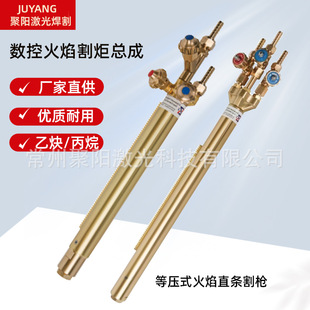 Isobaric CNC cutting torch propane gas cutting torch acetylene cutting torch CNC flame cutting machine cutting torch