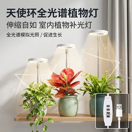 植物生长灯;阅读台灯;手机支架