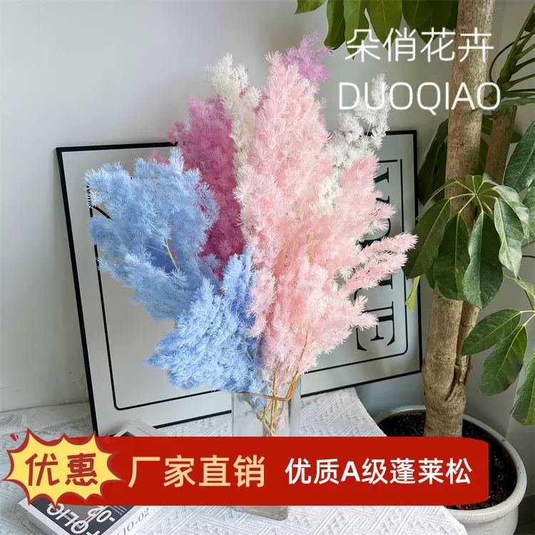 蓬莱松干花永生花北欧风网红花束高级轻奢家居摆设插花真花树枝