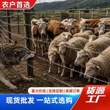 钢丝刺绳铁丝网 隔离围栏网围墙不锈钢防爬刺铁蒺藜防盗刺绳刺线