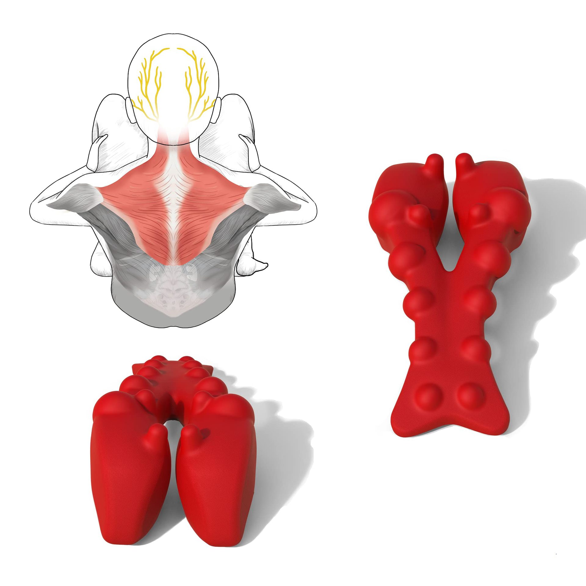 L for trapezius muscle massager