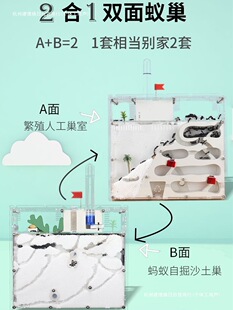 Λρ��Ѩ�e��ρ���Ҍ��﹤���������������ρ���쾰diy����