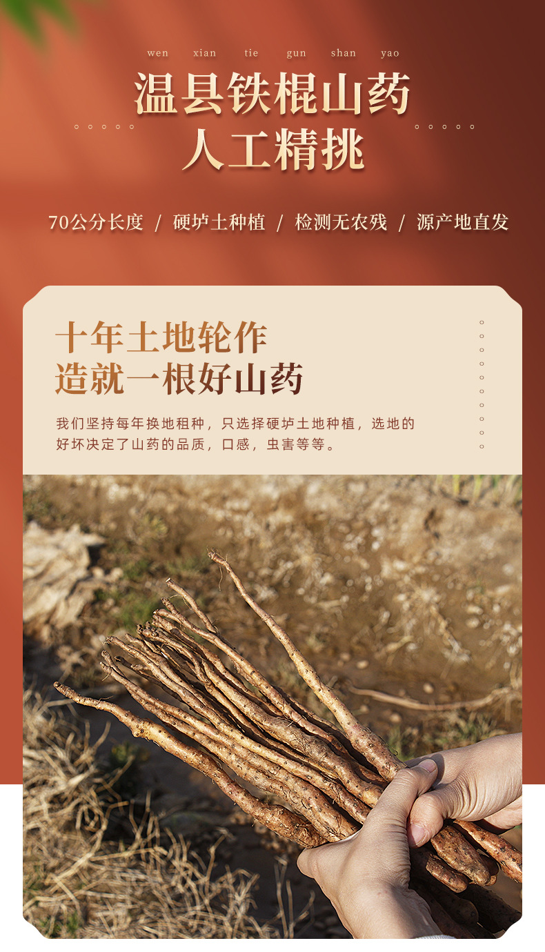 Fresh Chinese Yam Tiegun Shan Yao Wenxian Iron Stick Yam 3kg Gift Box overview